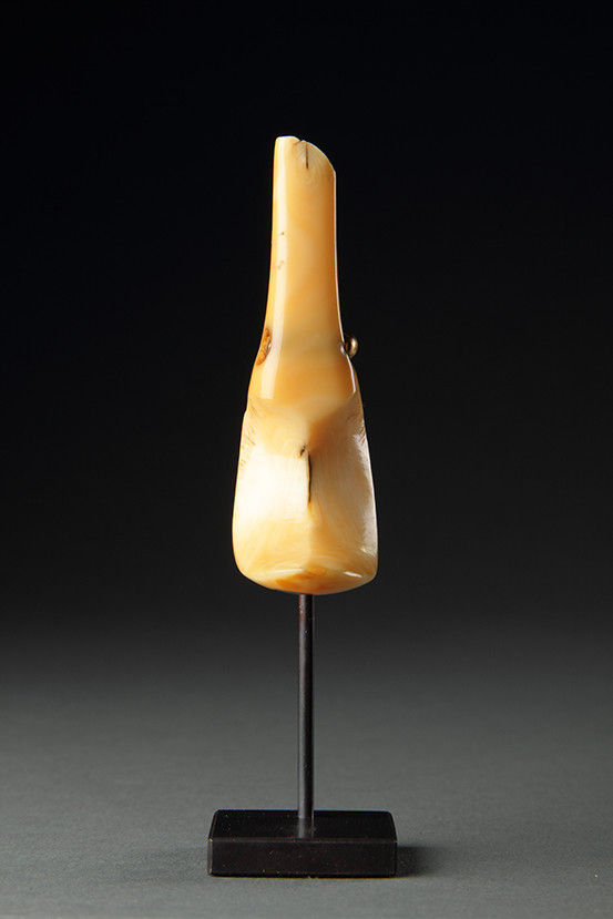 Hawaiian Islands Hook Shaped Sperm Whale Tooth Pendant